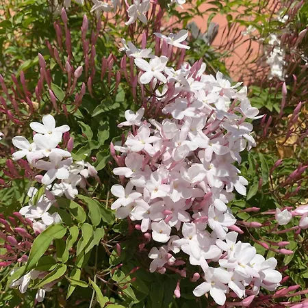 Apartamento Attico Luminoso Terrazza Centocelle Roma