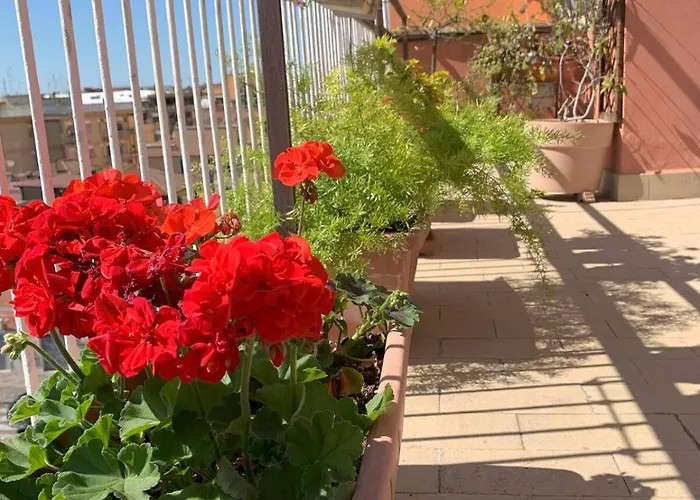 Attico Luminoso Terrazza Centocelle * Rome