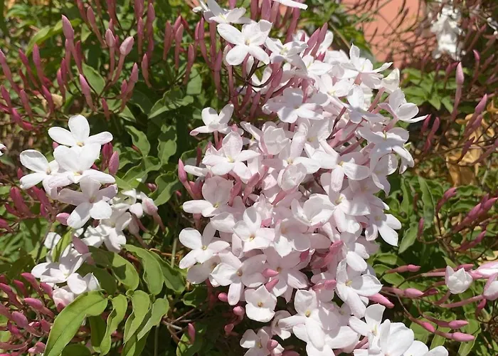 Appartement Attico Luminoso Terrazza Centocelle Rome